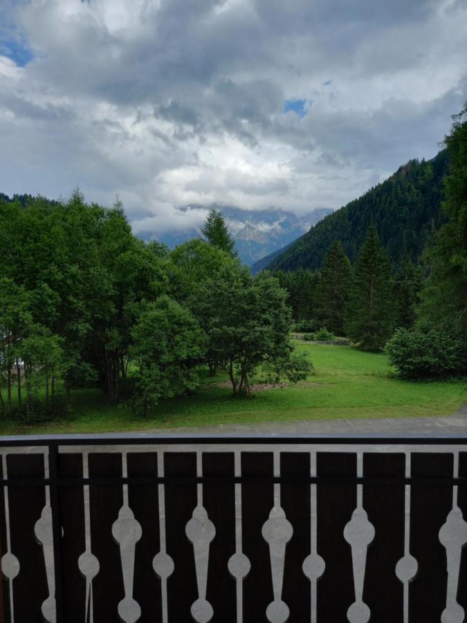 Scoiattolo Falcade