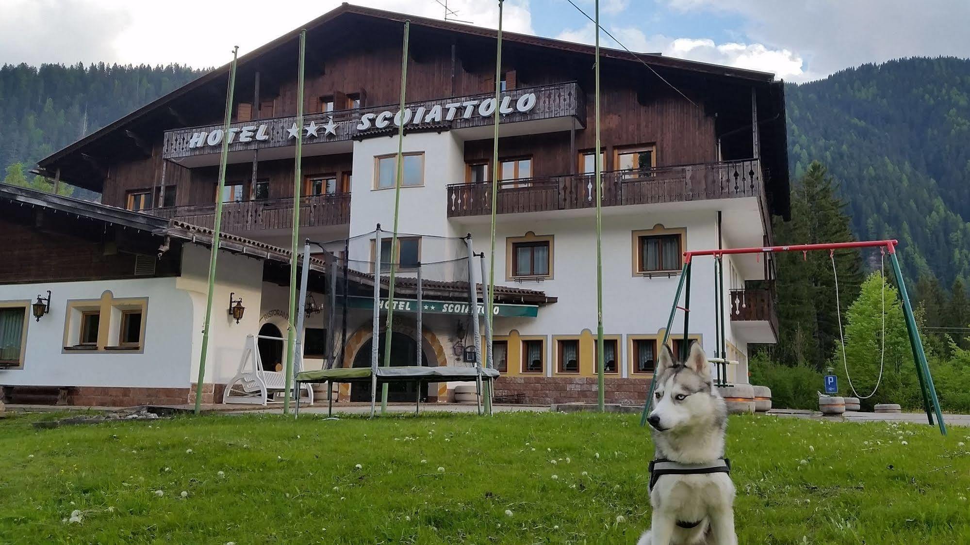 Scoiattolo 3*